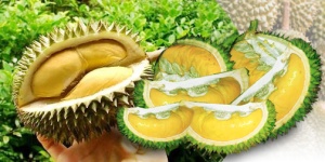 durian super